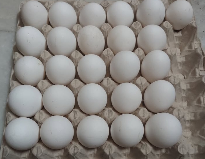 FDA recalled eggs displayed at a grocery store in July 2026