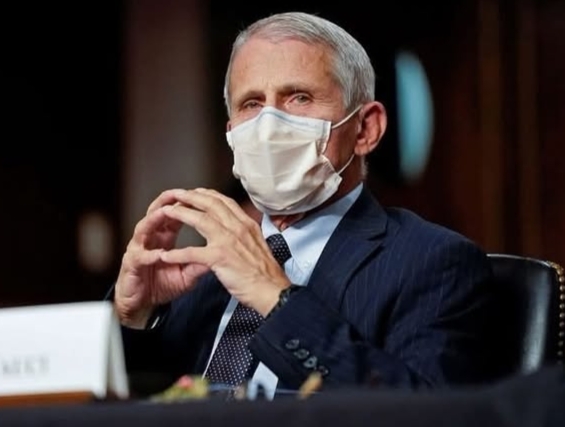 Anthony Fauci during a congressional hearing