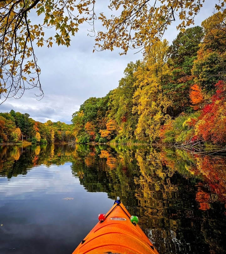 Lake Ontario waterfront with Toronto skyline in the background